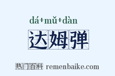 达姆弹是什么意思的图片